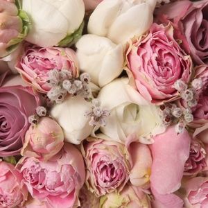 Meet your Posher, Cecilia